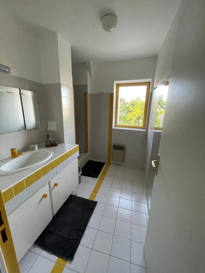 Grand Appartement Hypercentre Avec Terrasse Et Parking Поатие Екстериор снимка